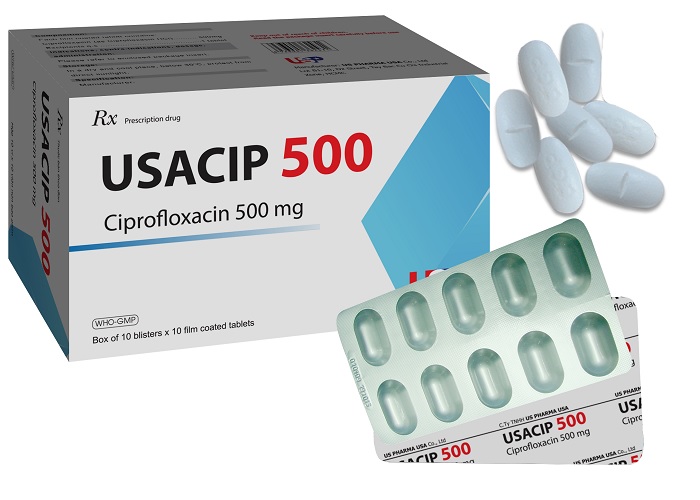 USACIP 500